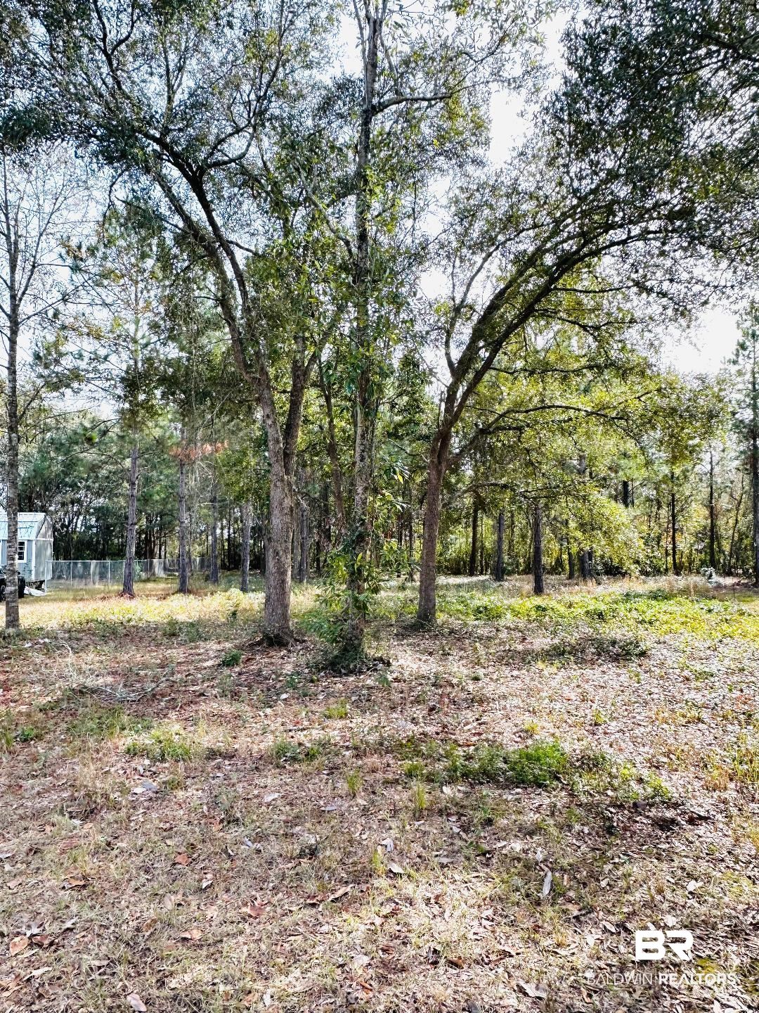0 Marsh Point Theodore, AL 36582 - Photo 2 of 3
