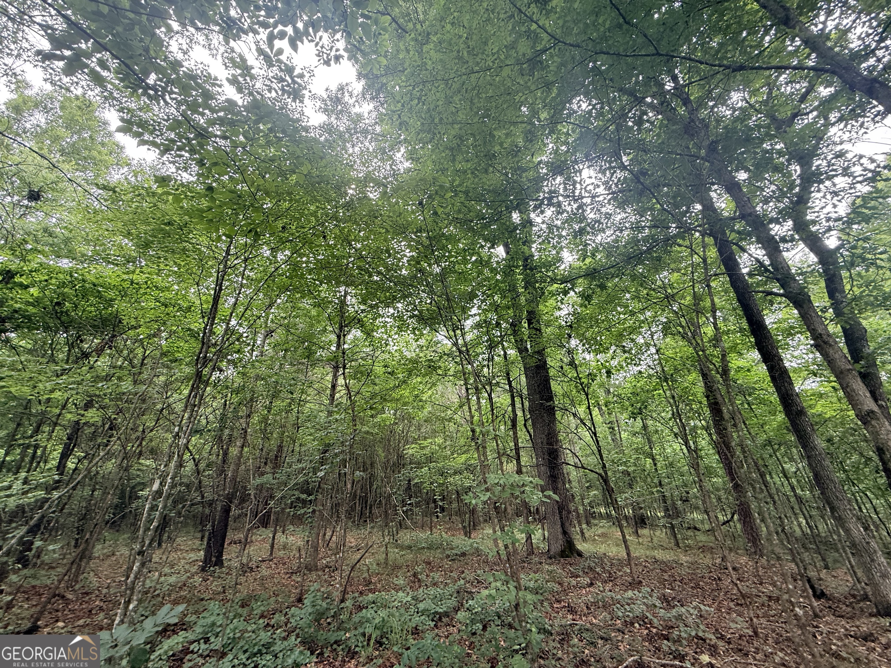1 Bethesda Church Road Lexington, GA 30648 - Photo 27 of 78