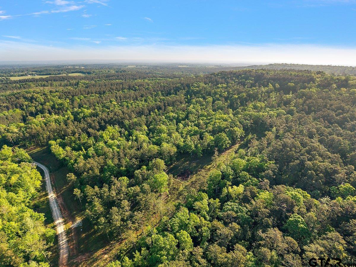 110 Rusk Tx 75785 Rusk, TX 75785 - Photo 2 of 9