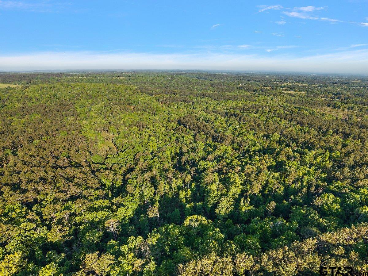110 Rusk Tx 75785 Rusk, TX 75785 - Photo 3 of 9
