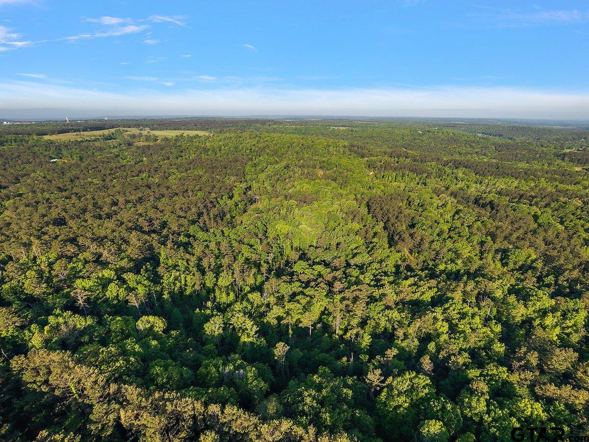 110 Rusk Tx 75785 Rusk, TX 75785 - Photo 4 of 9