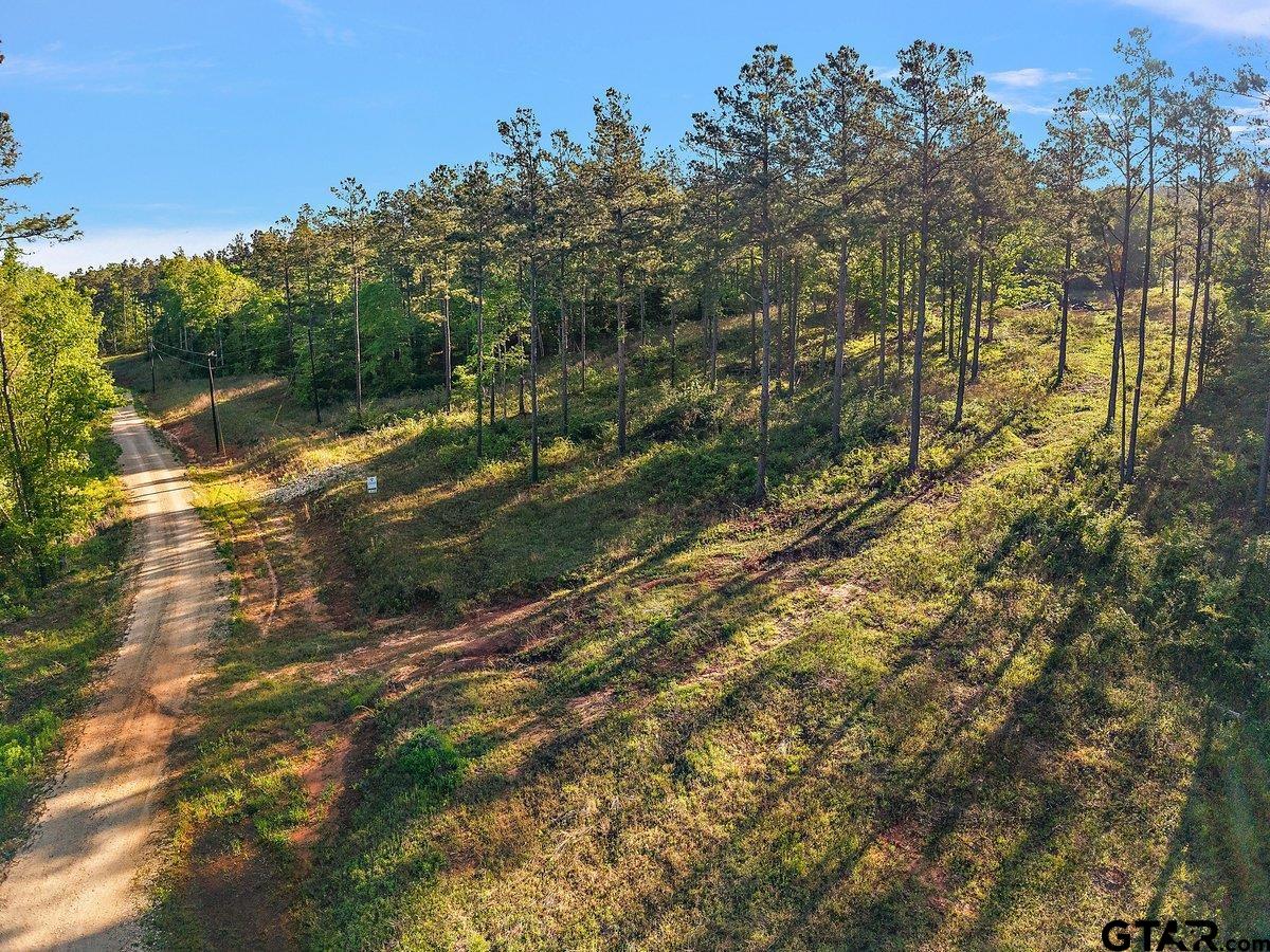 110 Rusk Tx 75785 Rusk, TX 75785 - Photo 5 of 9