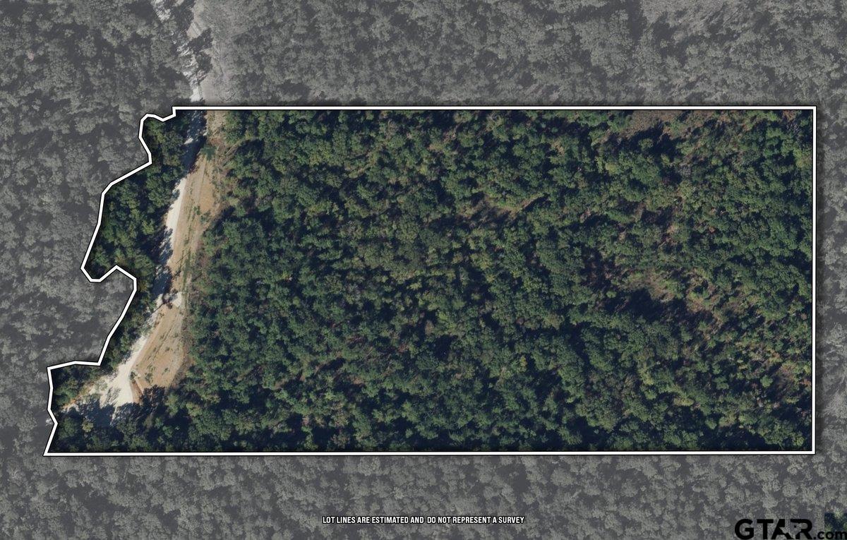 110 Rusk Tx 75785 Rusk, TX 75785 - Photo 7 of 9