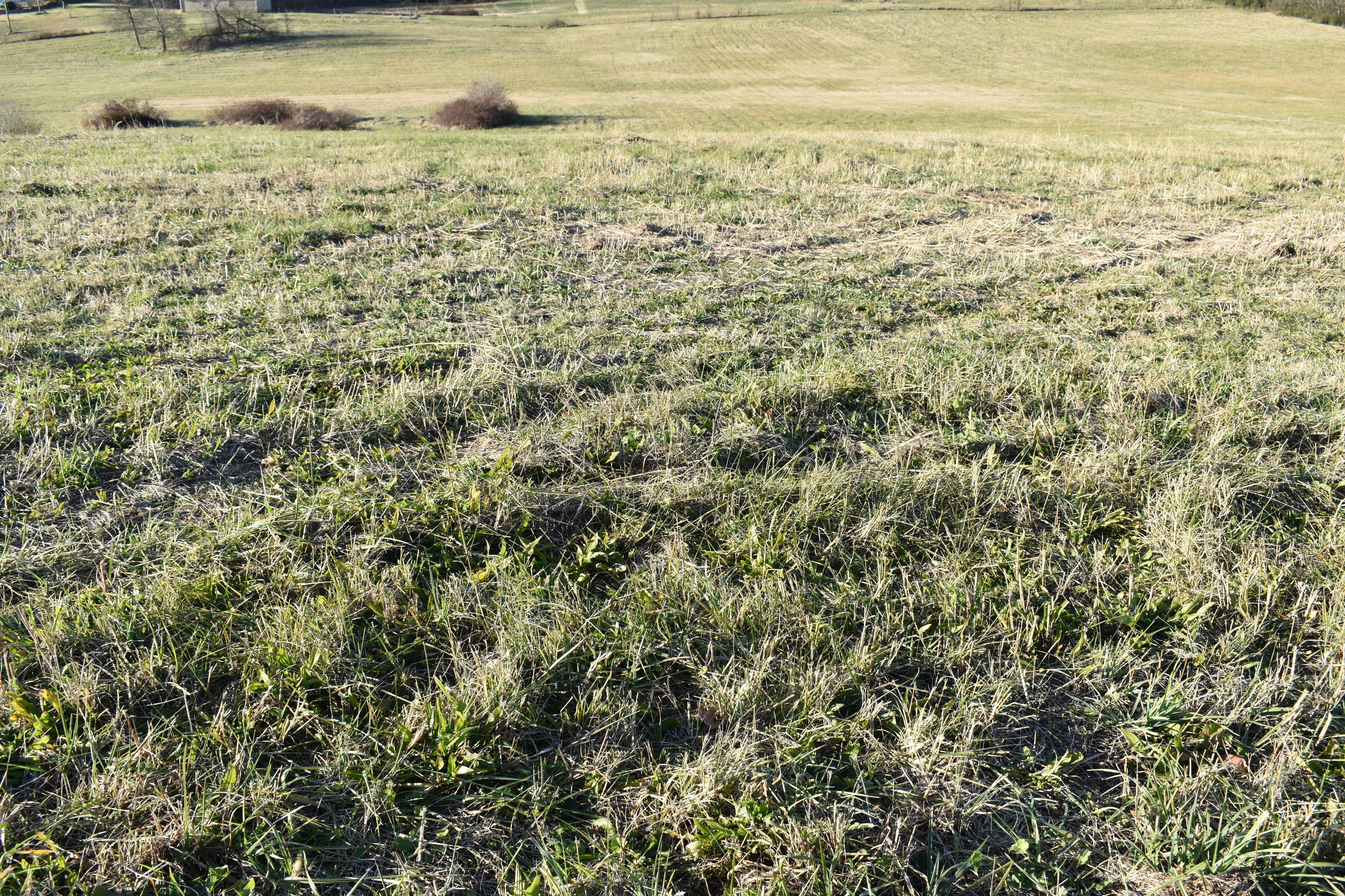 Lot 7 McCleary Road Sevierville, TN 37876 - Photo 1 of 2 DSC_0005