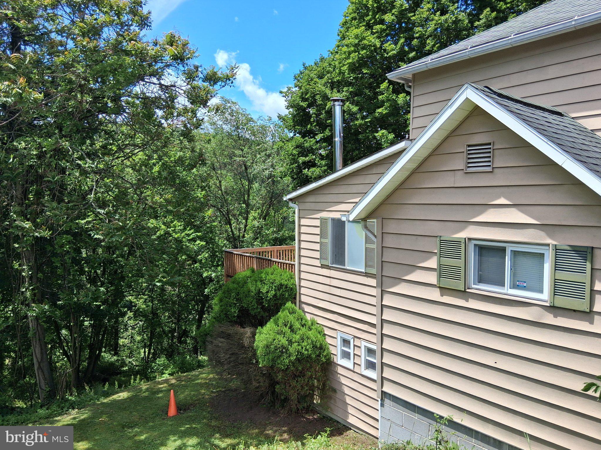 265 View Street Johnstown, PA 15902 - Photo 5 of 66 Charming home nestled in lush greenery.