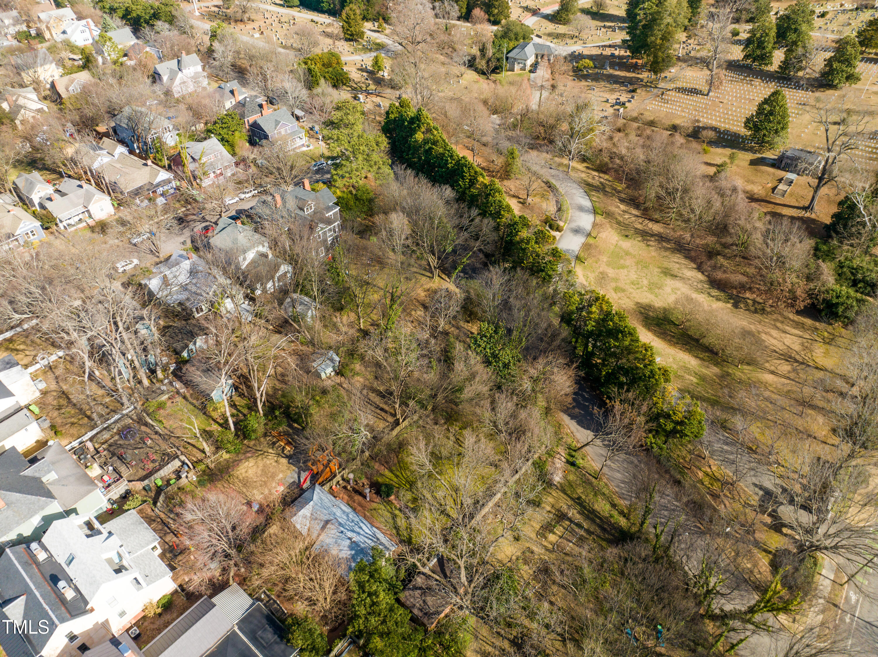 417 Watauga Street Raleigh, NC 27604 - Photo 12 of 27 a view of a tree
