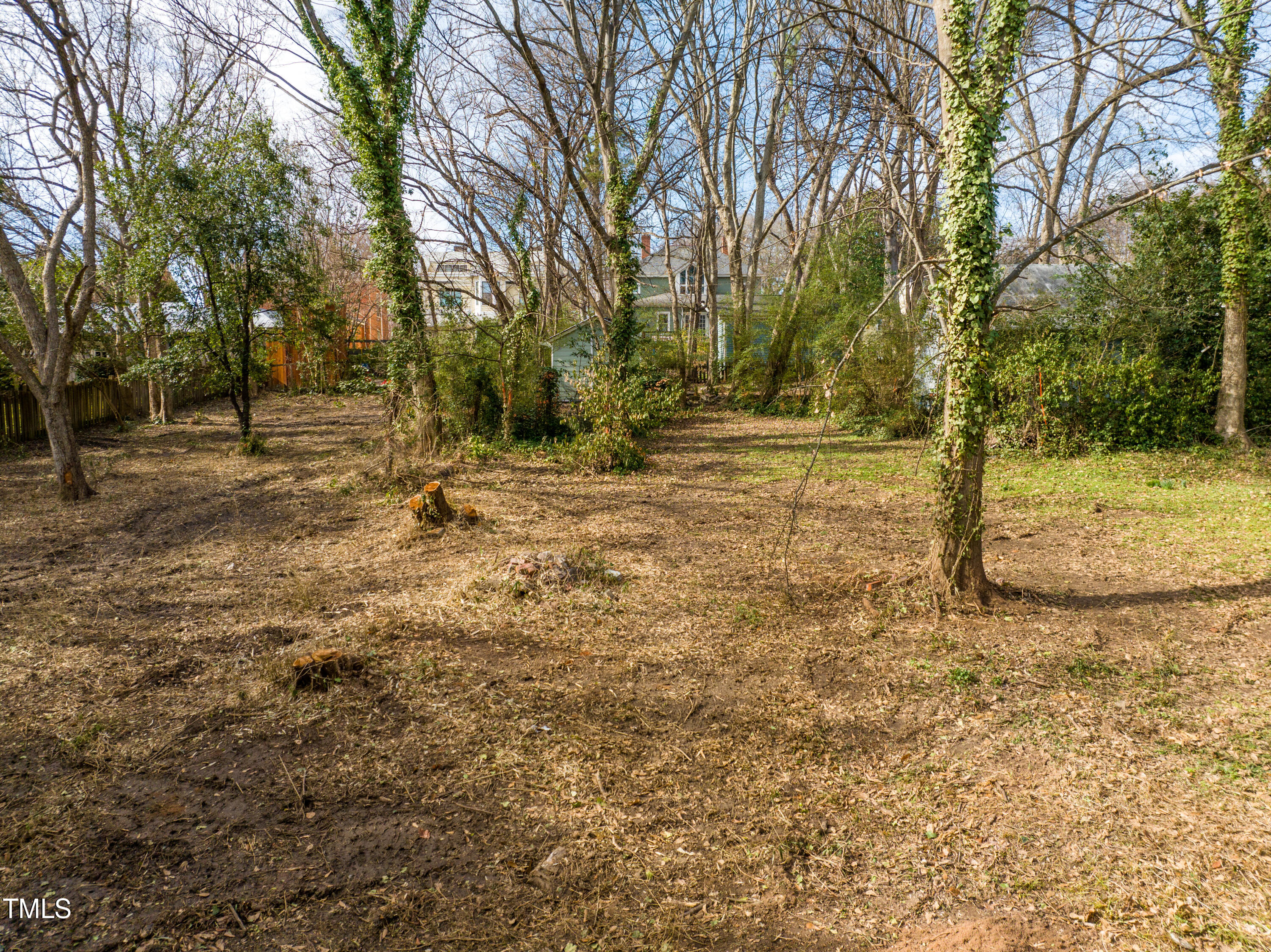 417 Watauga Street Raleigh, NC 27604 - Photo 23 of 27 a view of yard with trees