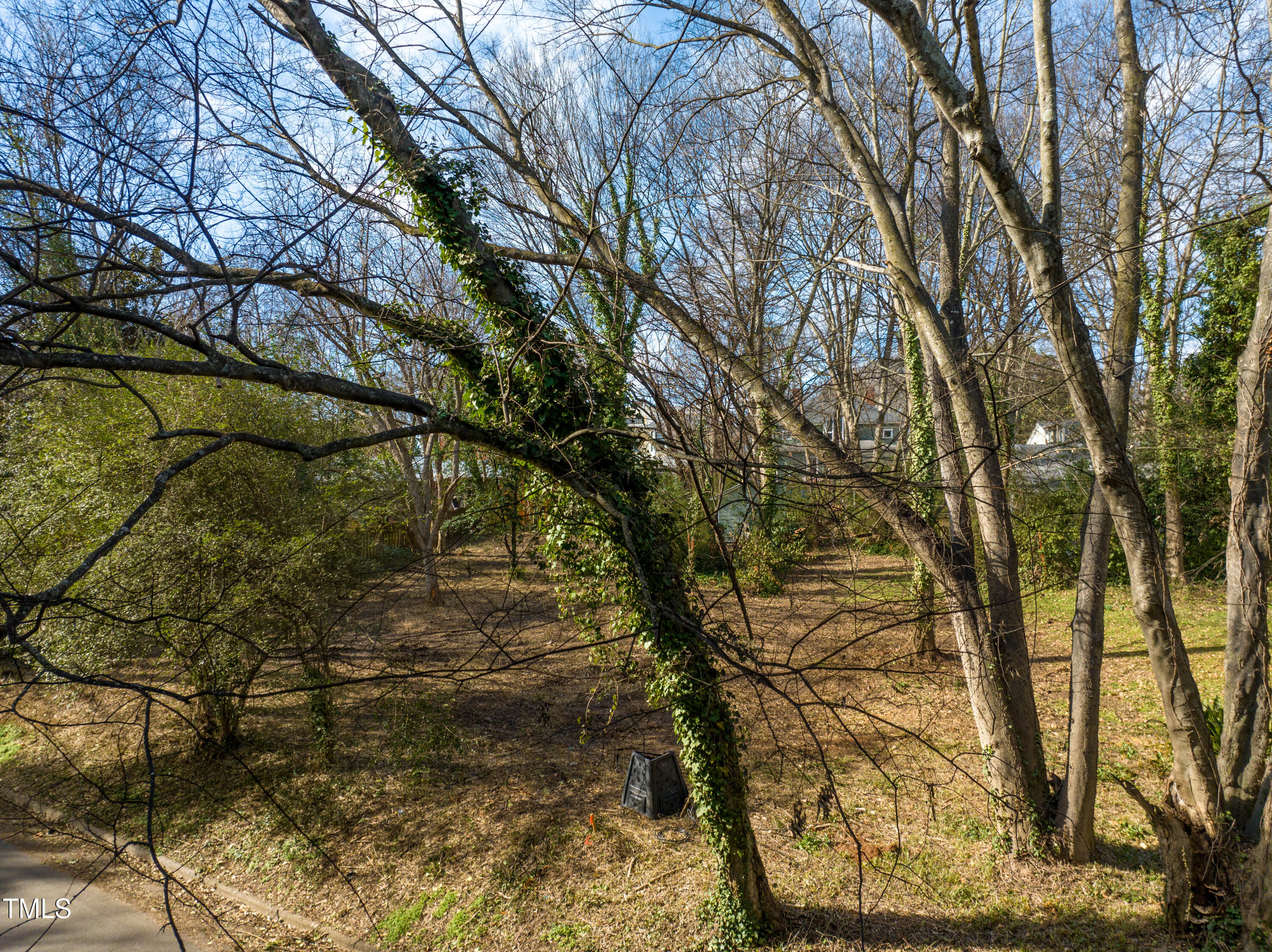 417 Watauga Street Raleigh, NC 27604 - Photo 4 of 27 a yard with tall trees