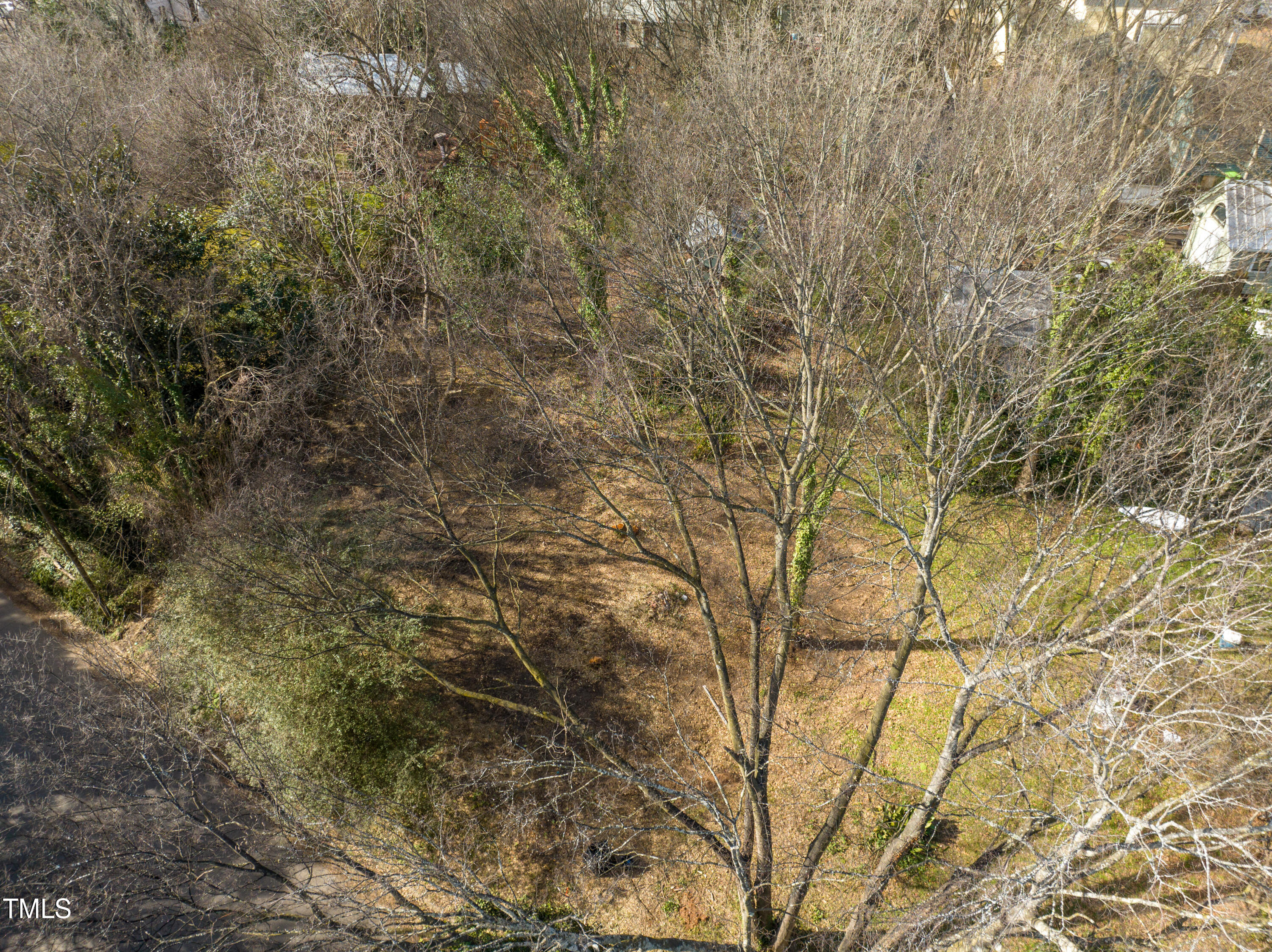 417 Watauga Street Raleigh, NC 27604 - Photo 5 of 27 a view of a yard with plants and trees