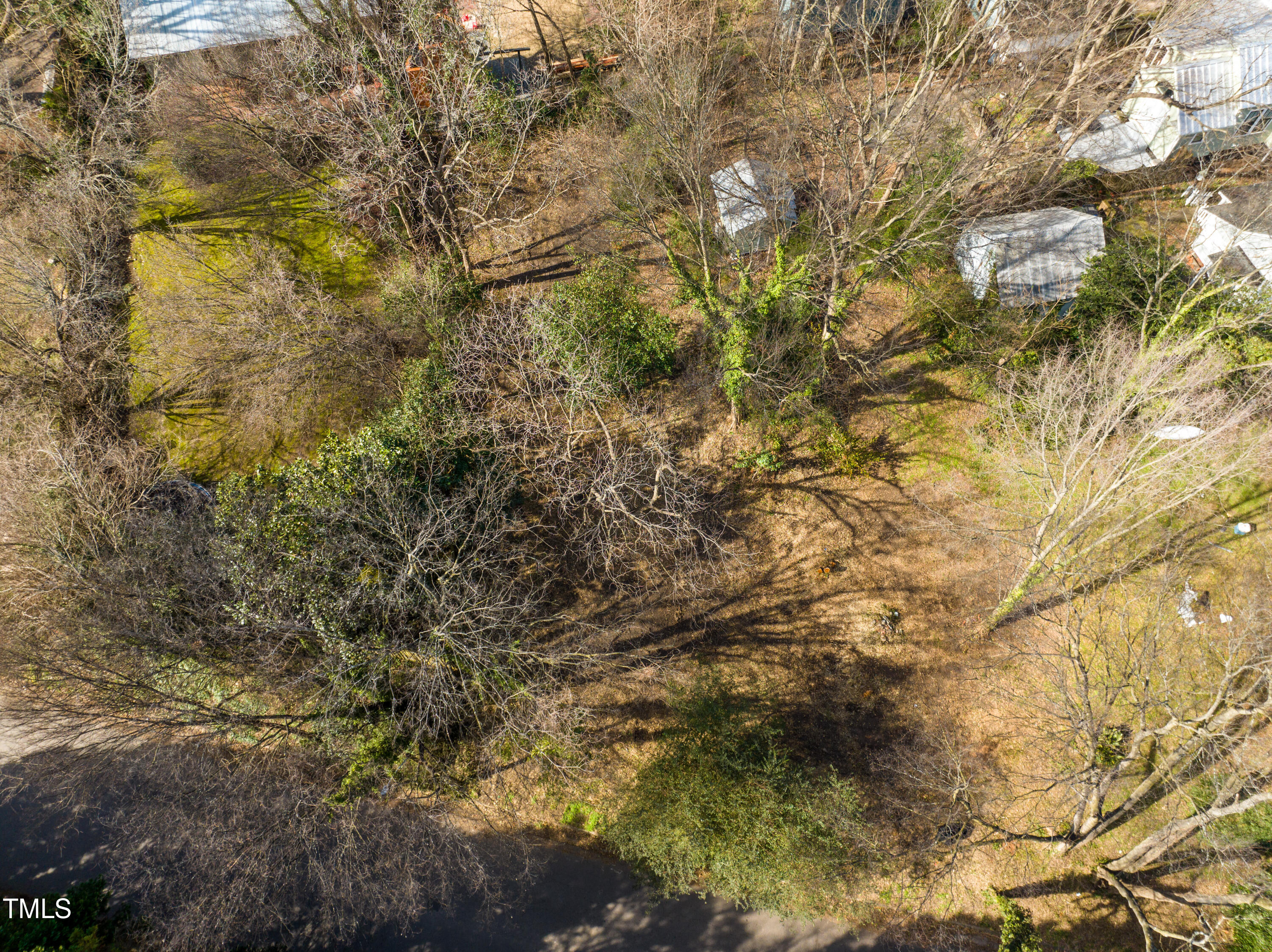 417 Watauga Street Raleigh, NC 27604 - Photo 7 of 27 a view of a tree