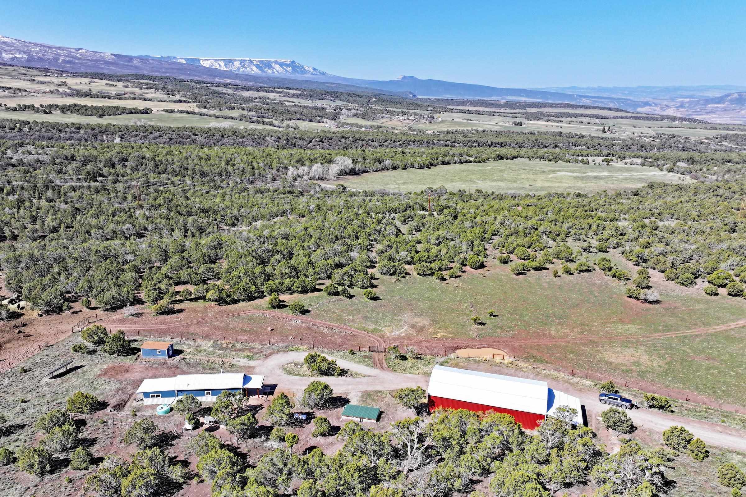 56001 KK Road Molina, CO 81646 - Photo 6 of 42 a view of an outdoor space with mountain view