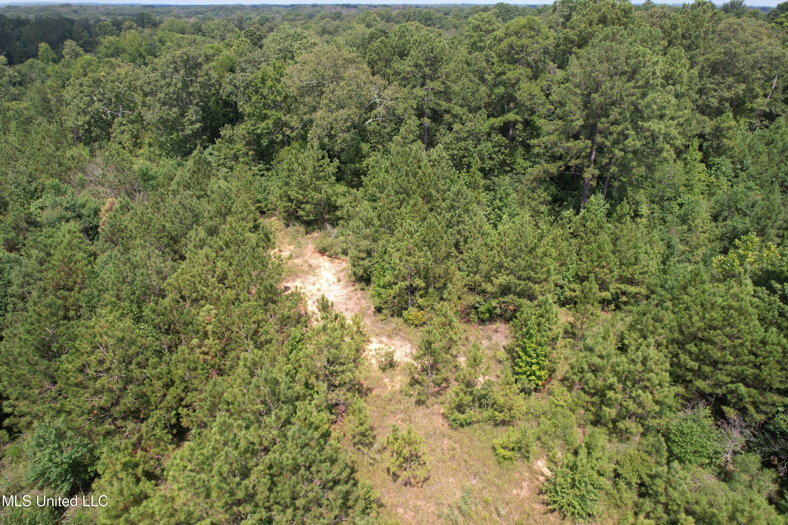 165 Lakeshore Road Jackson, MS 39212 - Photo 11 of 15 DJI_0656