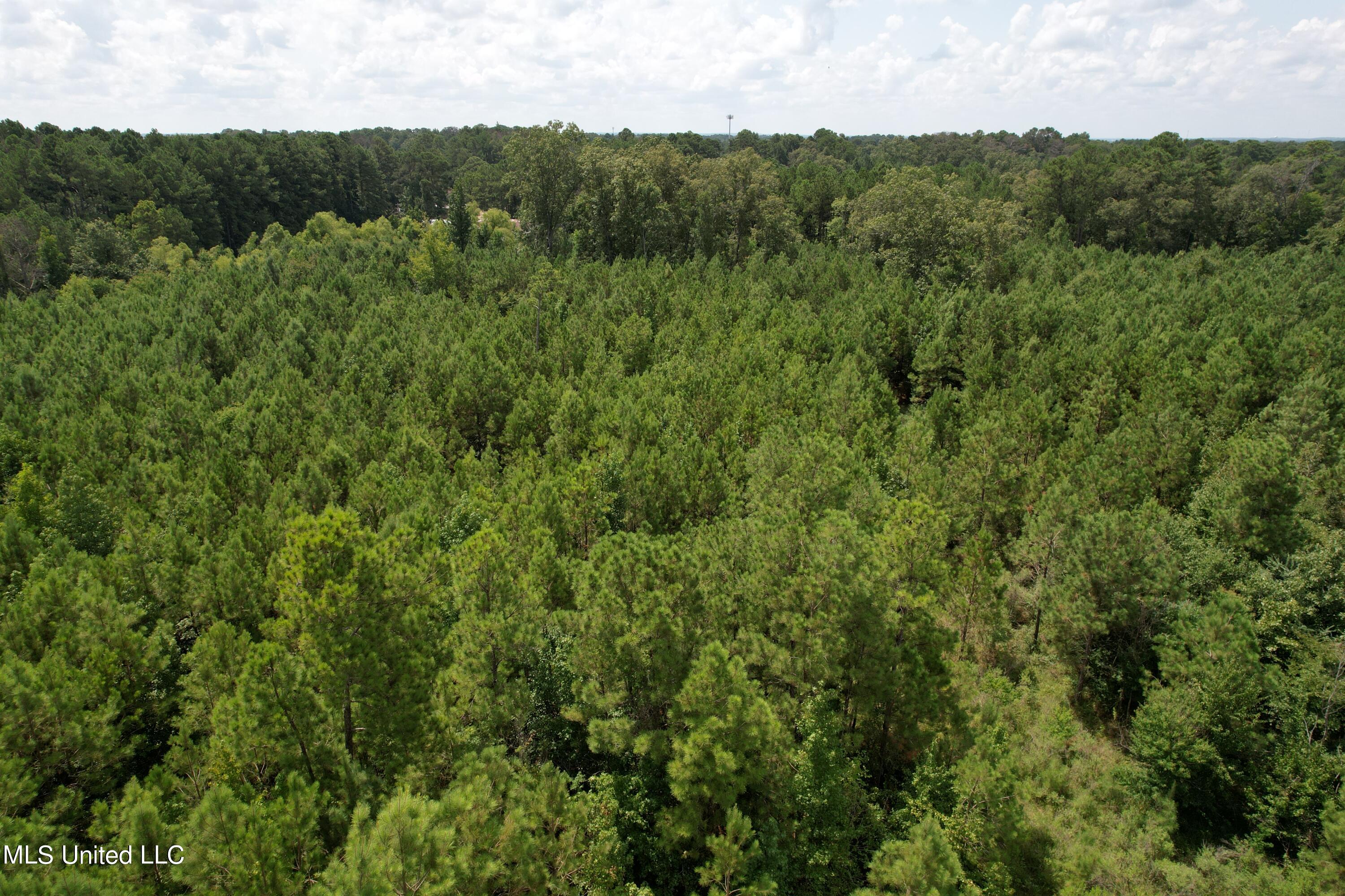 165 Lakeshore Road Jackson, MS 39212 - Photo 12 of 15 DJI_0658