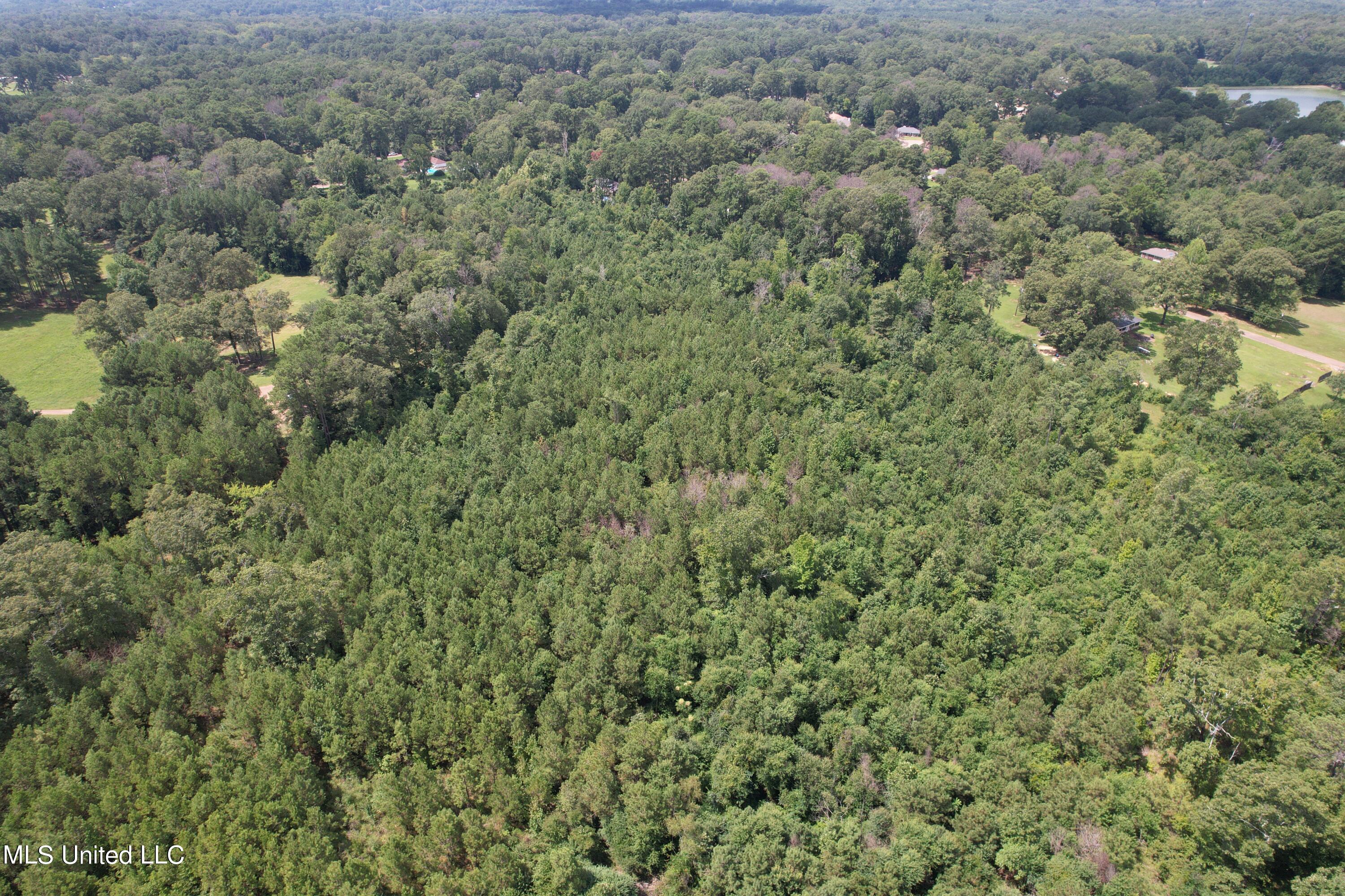 165 Lakeshore Road Jackson, MS 39212 - Photo 13 of 15 DJI_0659