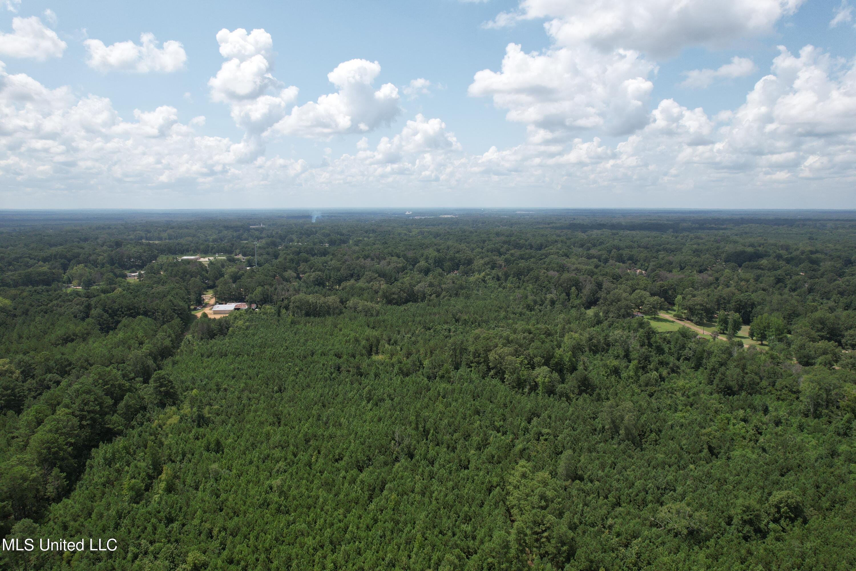 165 Lakeshore Road Jackson, MS 39212 - Photo 14 of 15 DJI_0660