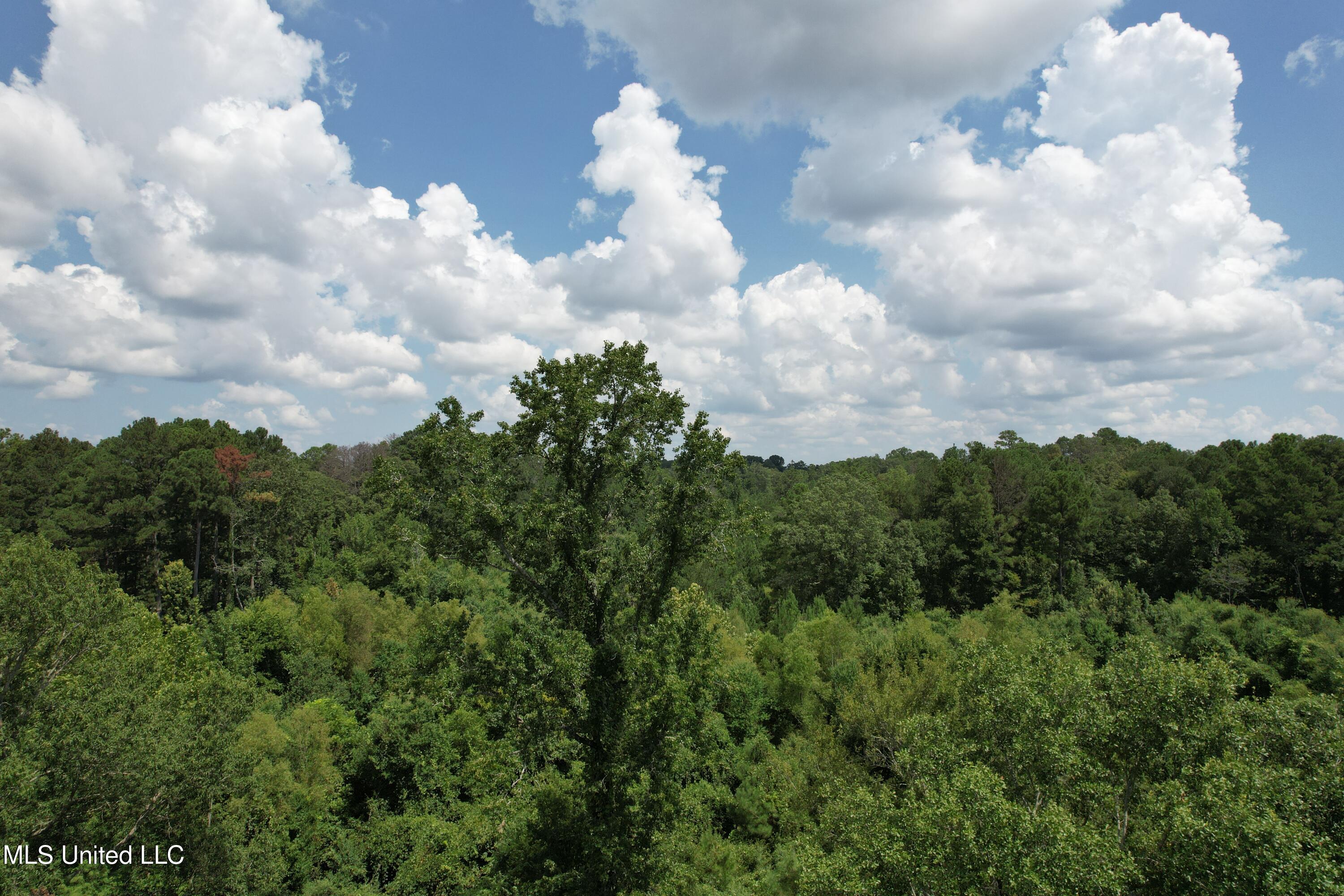 165 Lakeshore Road Jackson, MS 39212 - Photo 5 of 15 DJI_0646