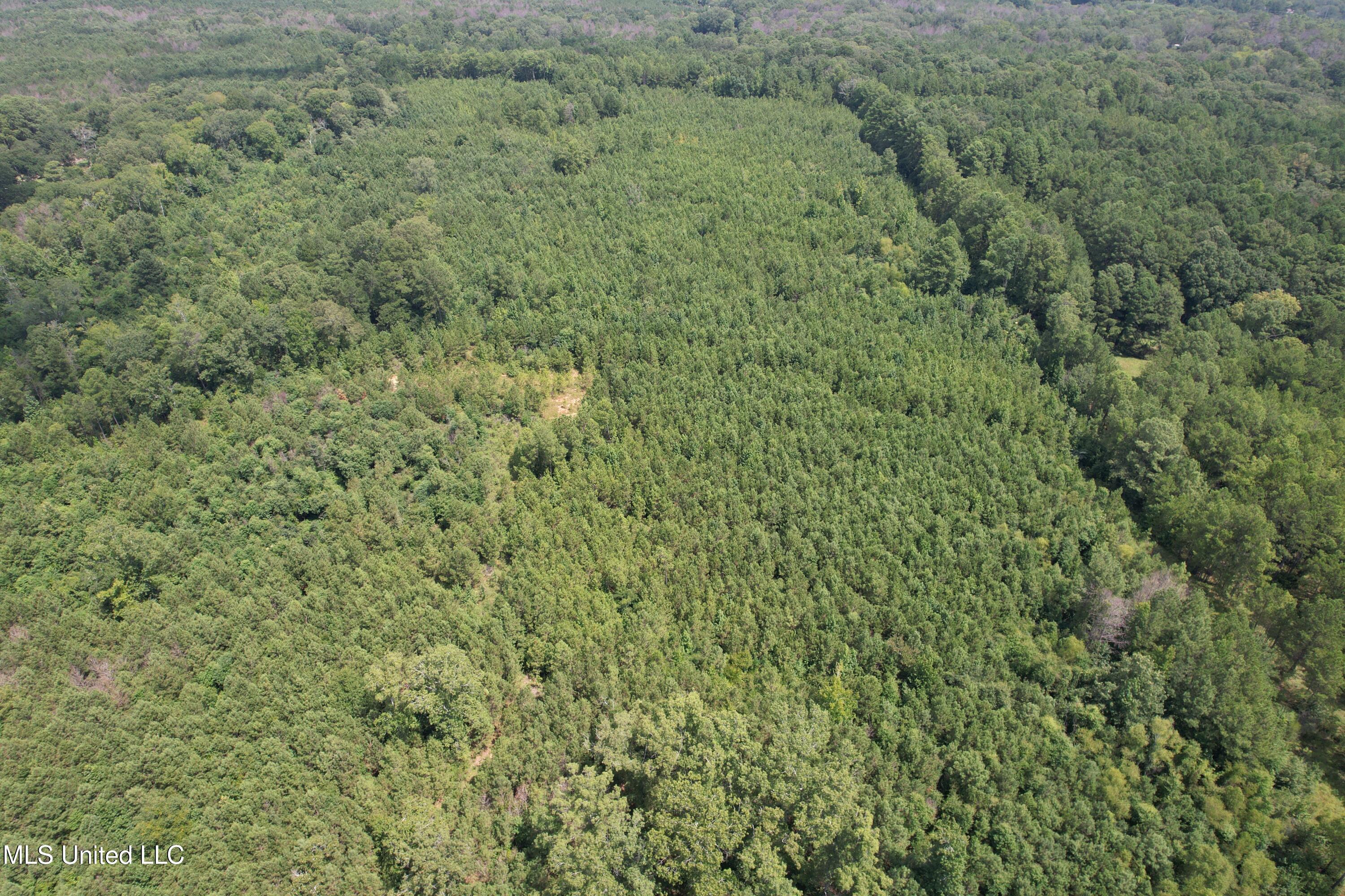 165 Lakeshore Road Jackson, MS 39212 - Photo 8 of 15 DJI_0652