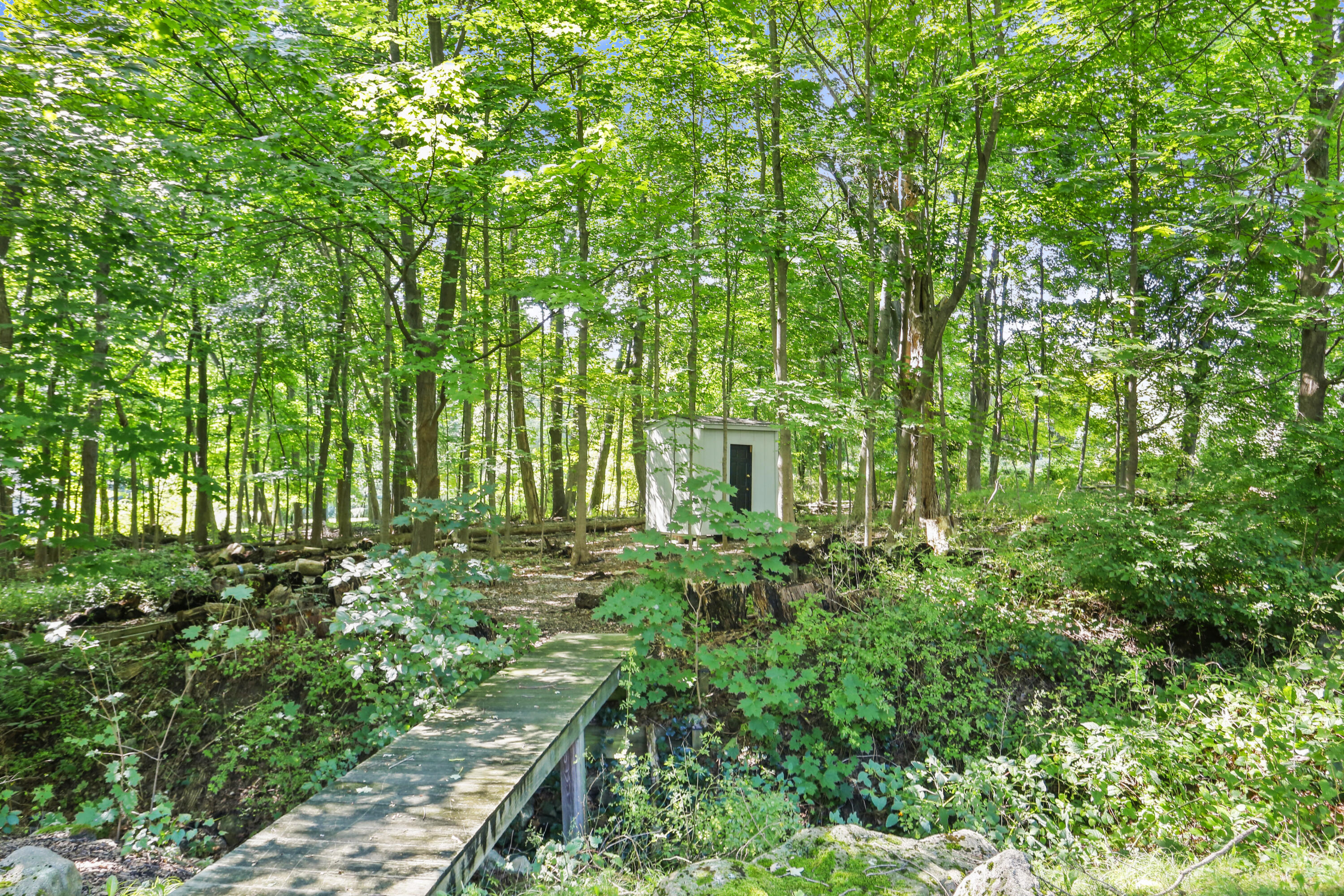 110 Sleepy Hollow Road New Canaan, CT 06840 - Photo 44 of 47 a backyard of a house with lots of green space