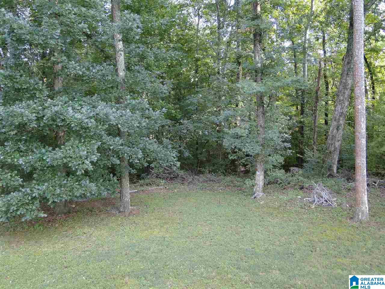 120 Lee Street Springville, AL 35146 - Photo 18 of 23
