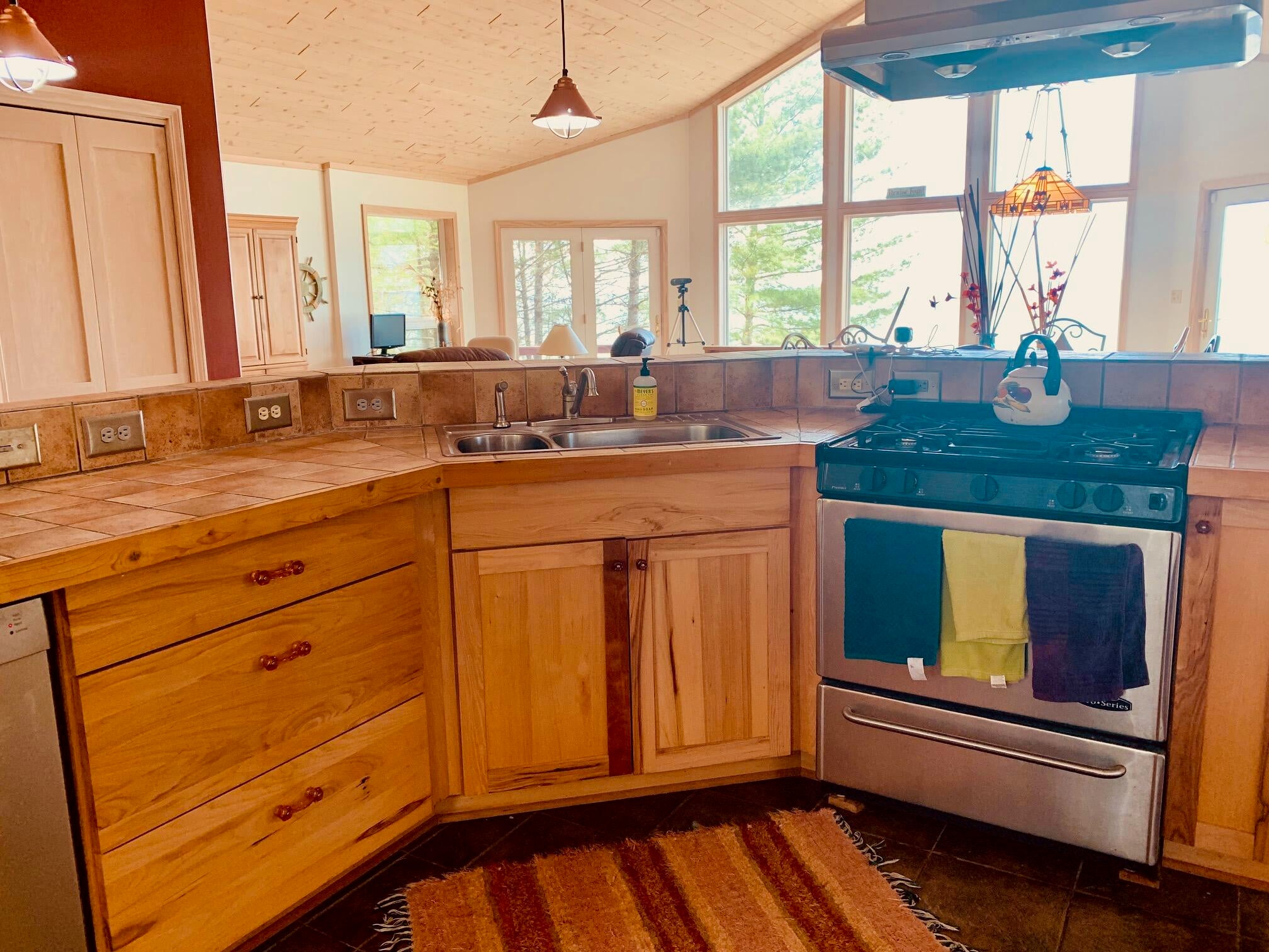29596 West North Shore Road Paradise, MI 49768 - Photo 16 of 60 Gallery Image 16