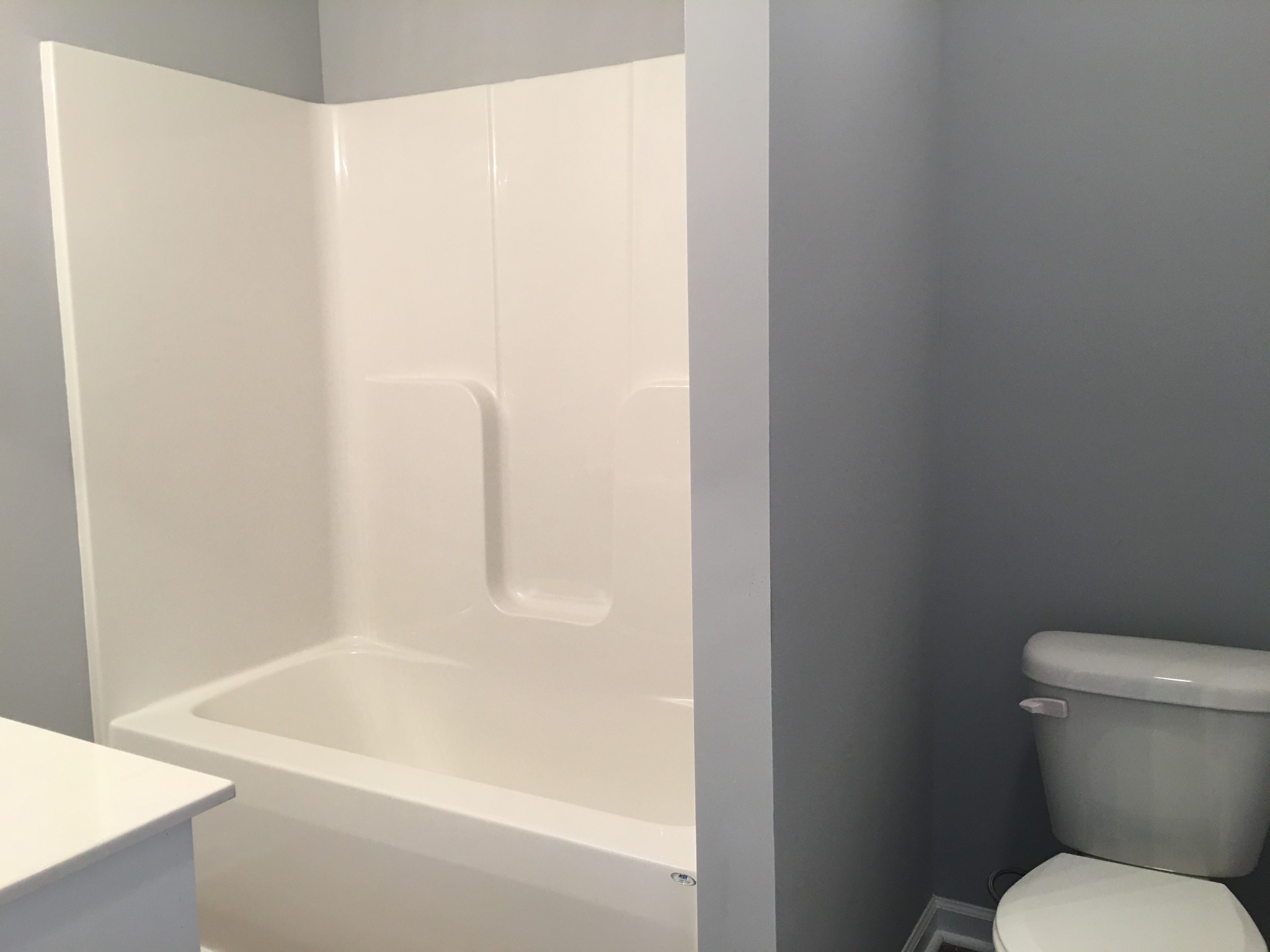 538 B Limestone Road Elora, TN 37328 - Photo 9 of 19 a white bath tub sitting next to a toilet