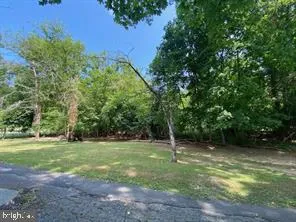 a view of a field with trees in the background