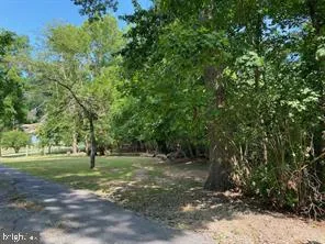 a view of a grassy field with trees