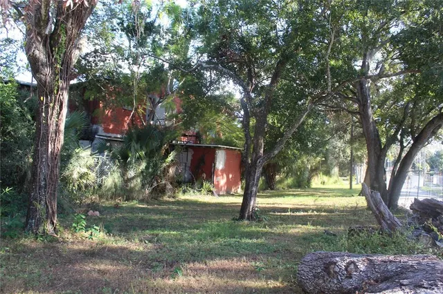 a view of a park with large trees