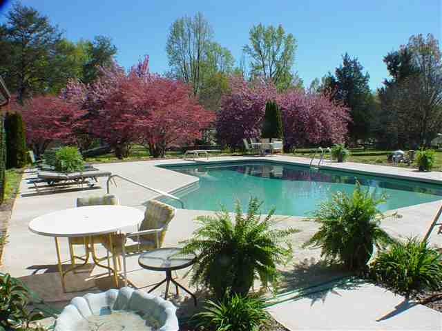 334 Piedmont Golf Course Road Piedmont, SC 29673 - Photo 22 of 25 Gallery Image 22
