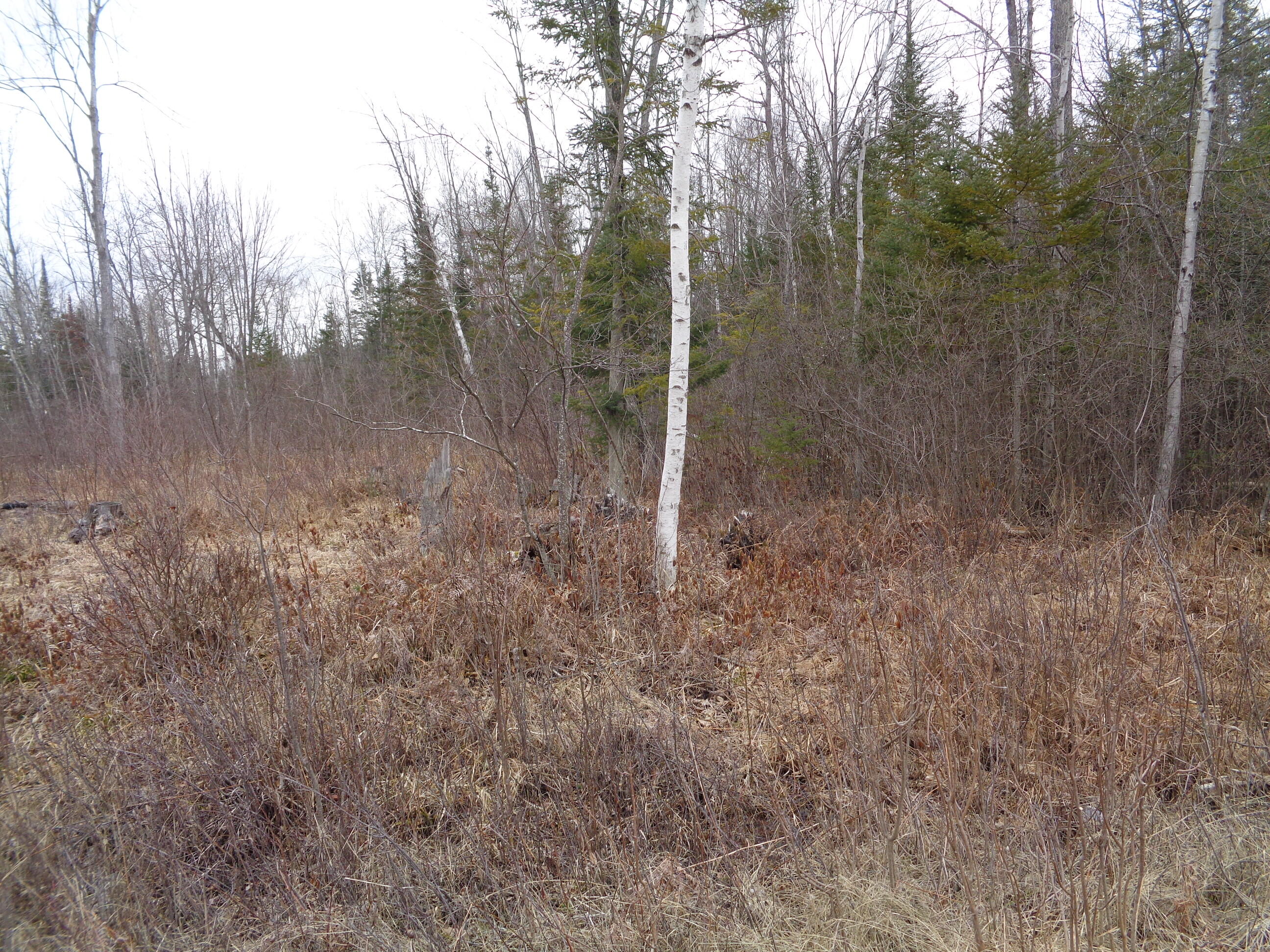 128 Custer Road Alpena, MI 49707 - Photo 1 of 9 Gallery Image 1