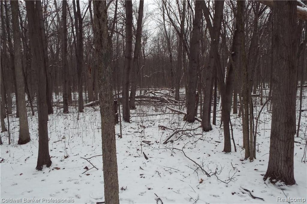 Eight West Eight Mile Road South Lyon, MI 48178 - Photo 27 of 58