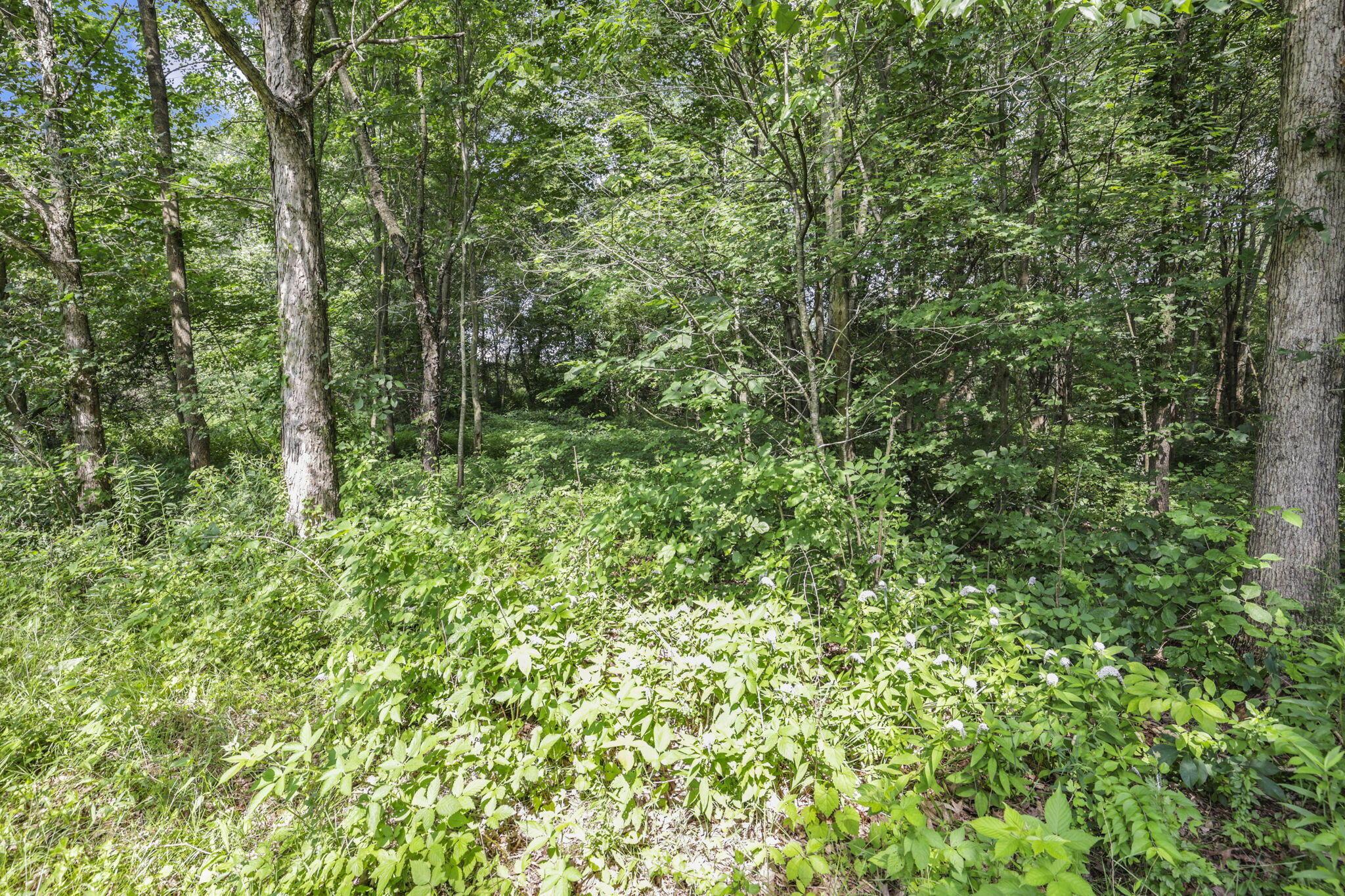 7877 Outville Road Southwest Pataskala, OH 43062 - Photo 25 of 88 78-web-or-mls-0N4A0632