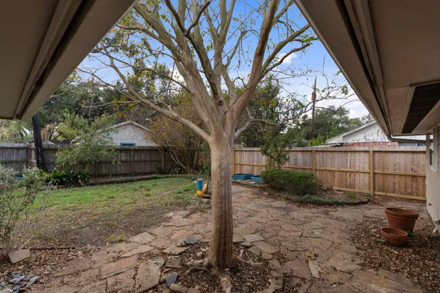 a view of backyard with tree