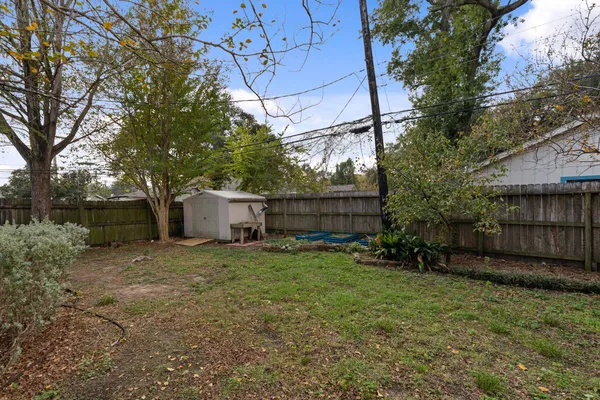 a view of a backyard with plants and large trees