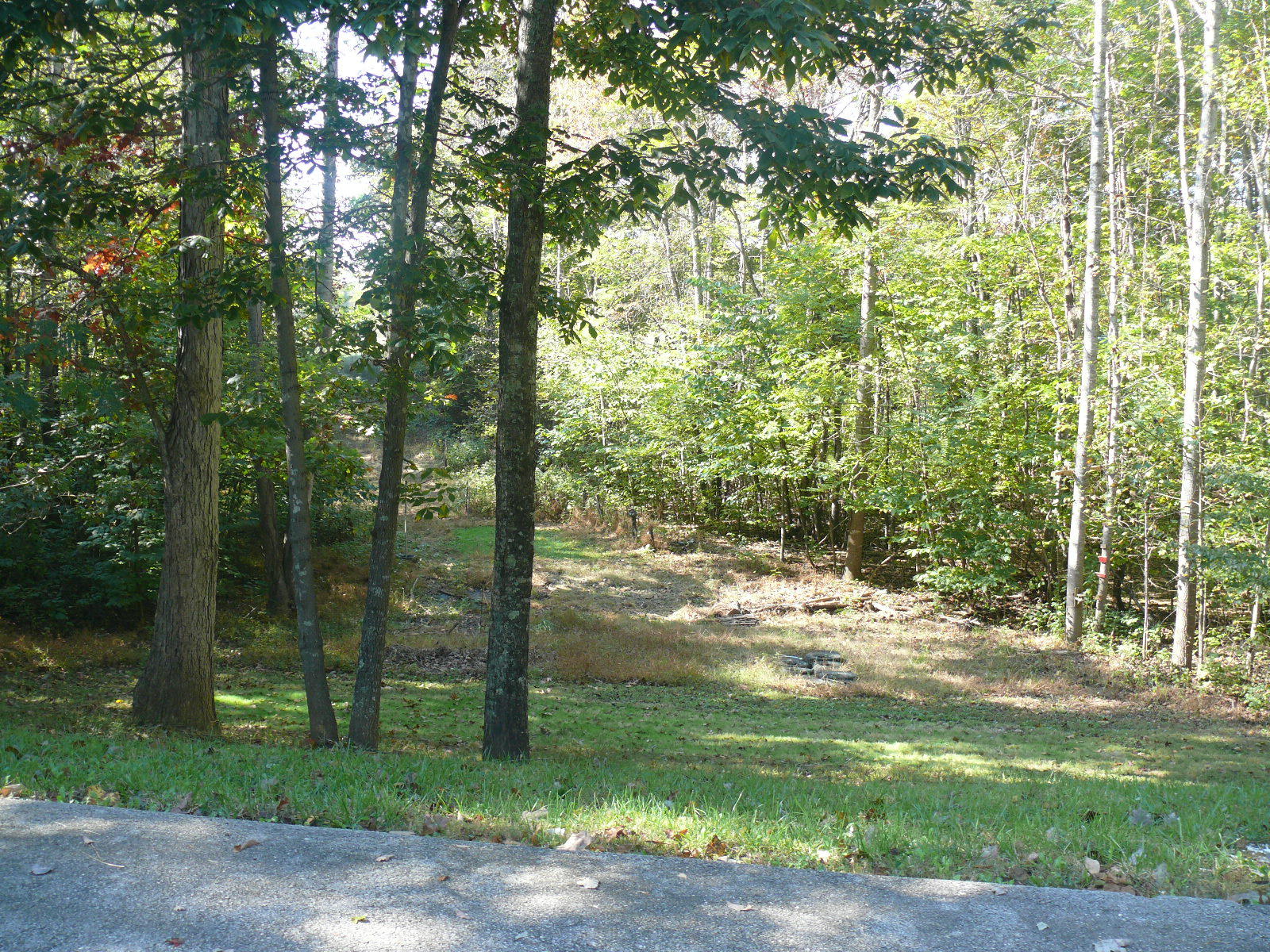 9759 Botetourt Road Eagle Rock, VA 24085 - Photo 25 of 28 2016-10-16 23.16.20