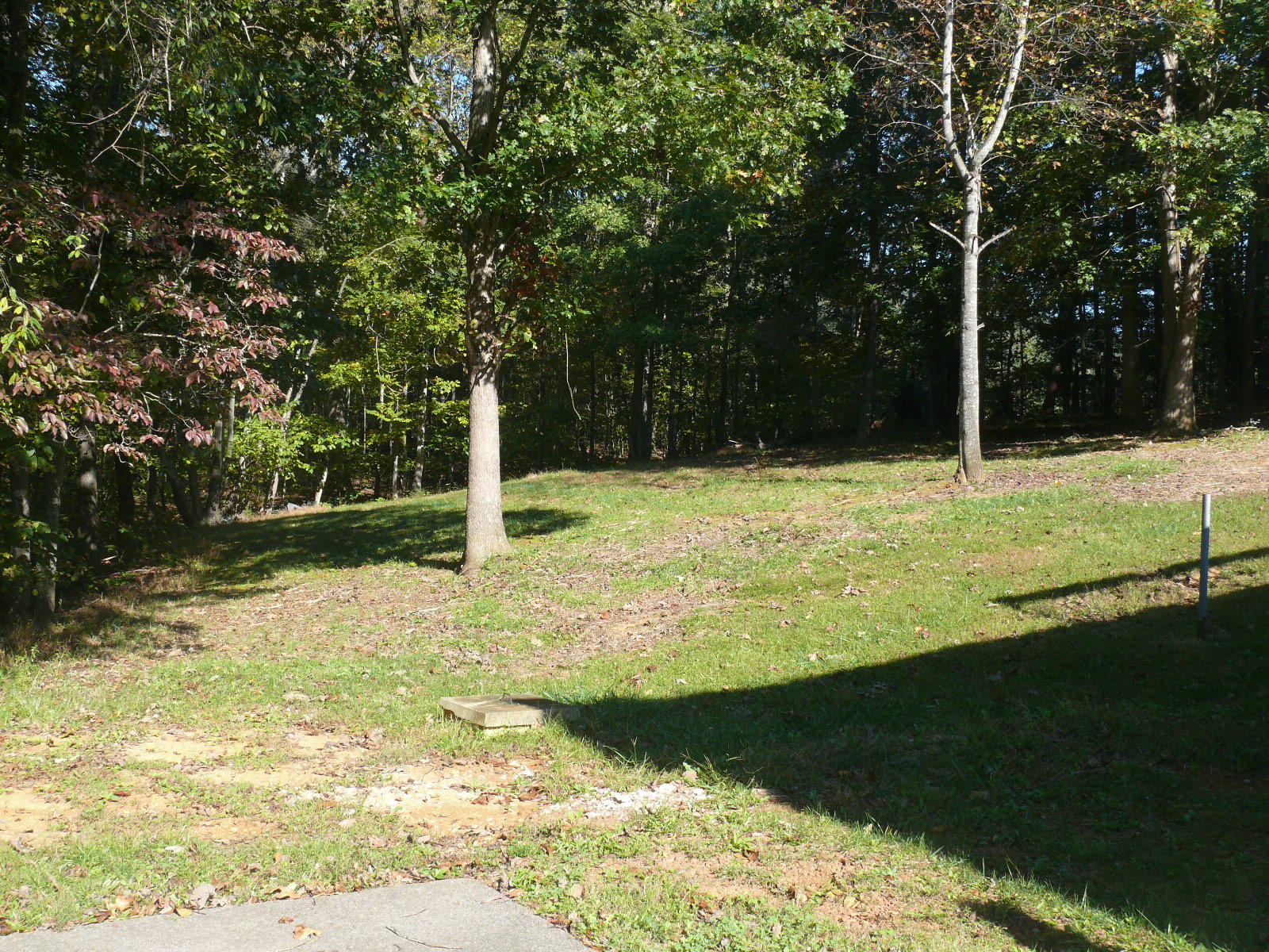 9759 Botetourt Road Eagle Rock, VA 24085 - Photo 26 of 28 2016-10-16 23.16.30