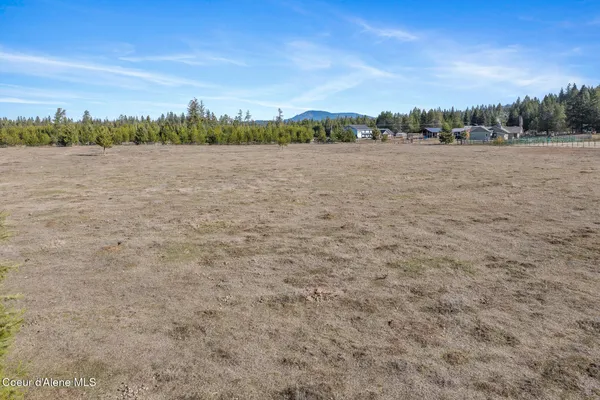 $320,000 | 194 Vigs Drive, Athol, ID 83801