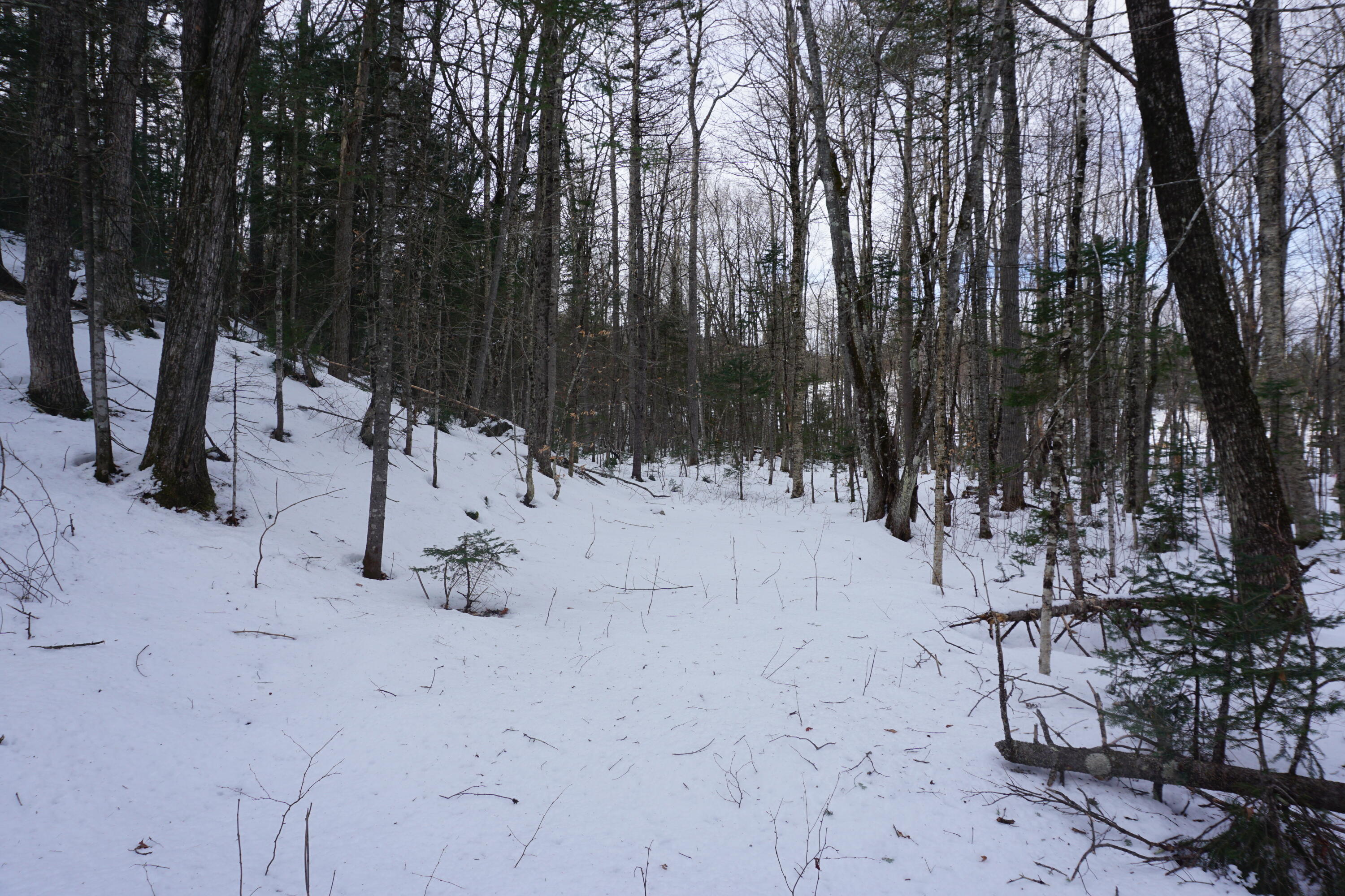 1 Redding Road Sumner, ME 04292 - Photo 12 of 21