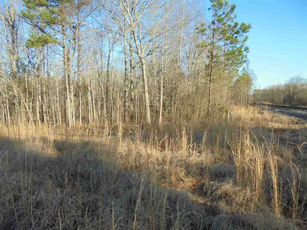 0 Hamby Road, Unit 30 67 ACRES Honea Path, SC 29654 - Photo 3 of 9