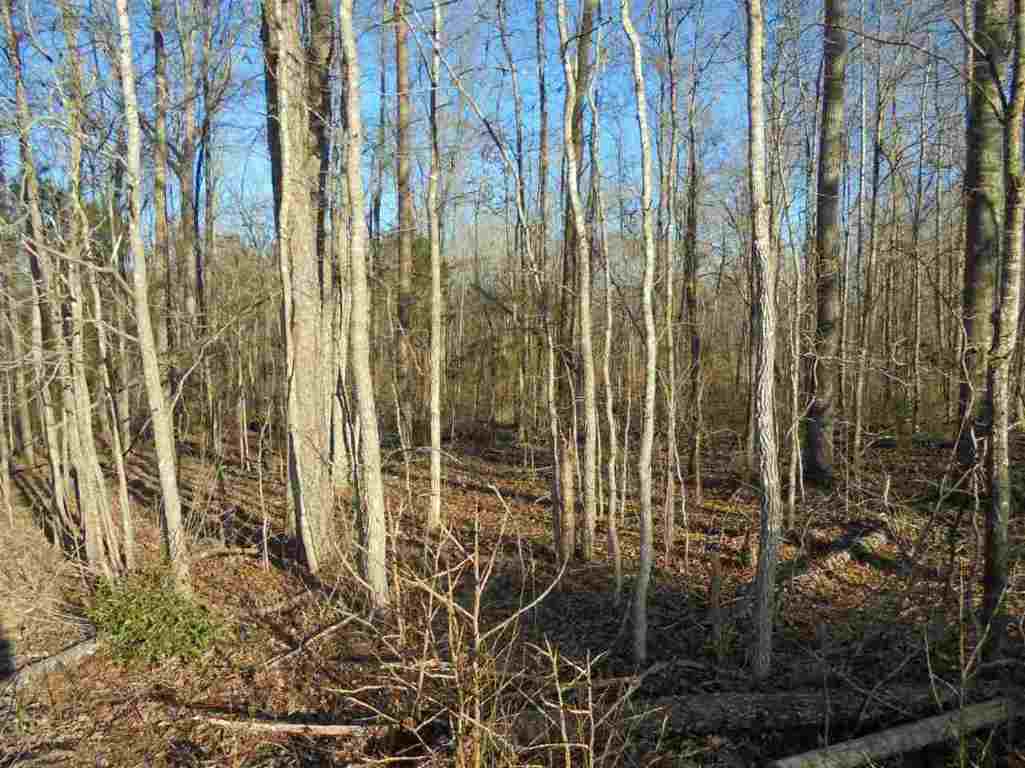 0 Hamby Road, Unit 30 67 ACRES Honea Path, SC 29654 - Photo 4 of 9