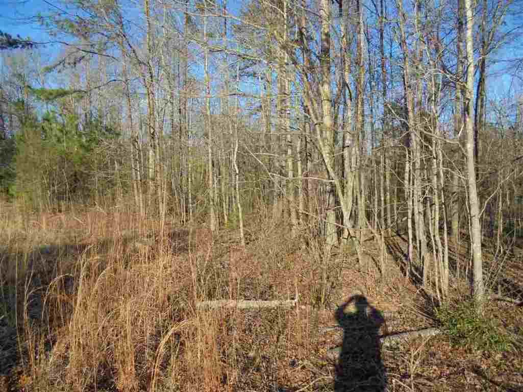 0 Hamby Road, Unit 30 67 ACRES Honea Path, SC 29654 - Photo 5 of 9
