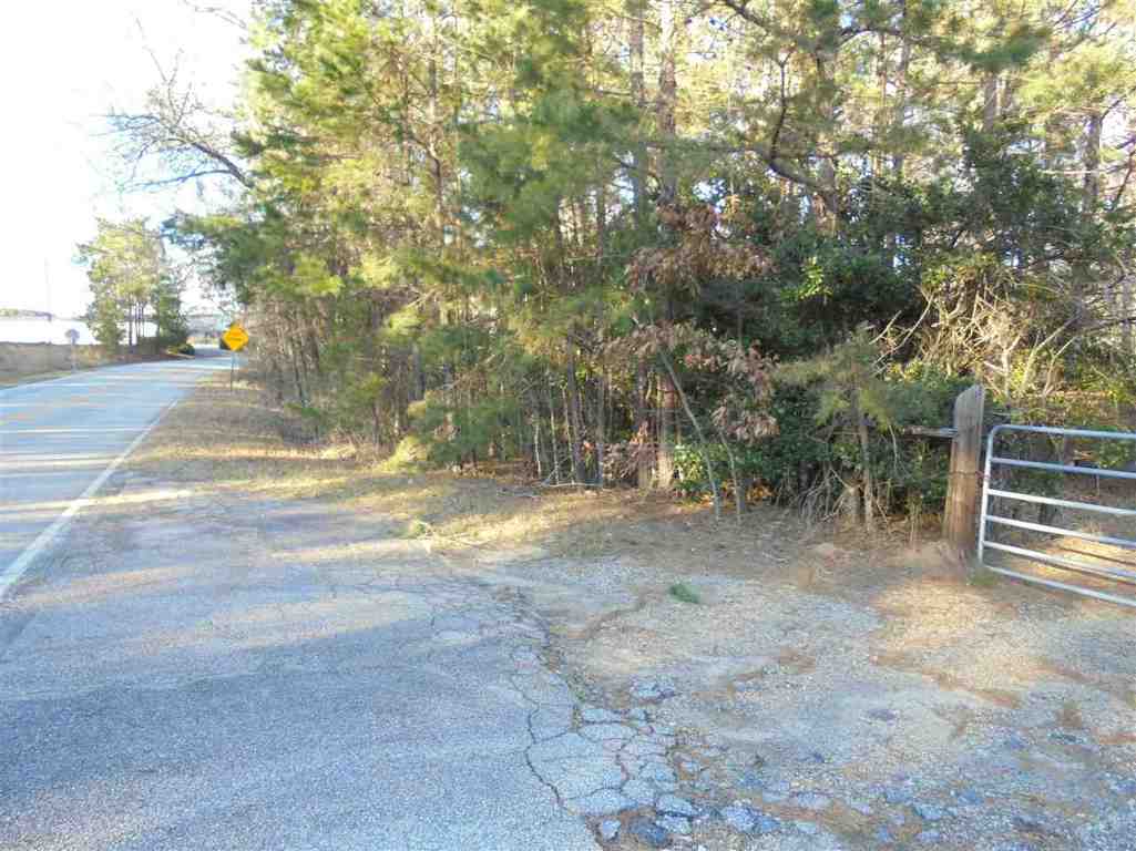 0 Hamby Road, Unit 30 67 ACRES Honea Path, SC 29654 - Photo 6 of 9