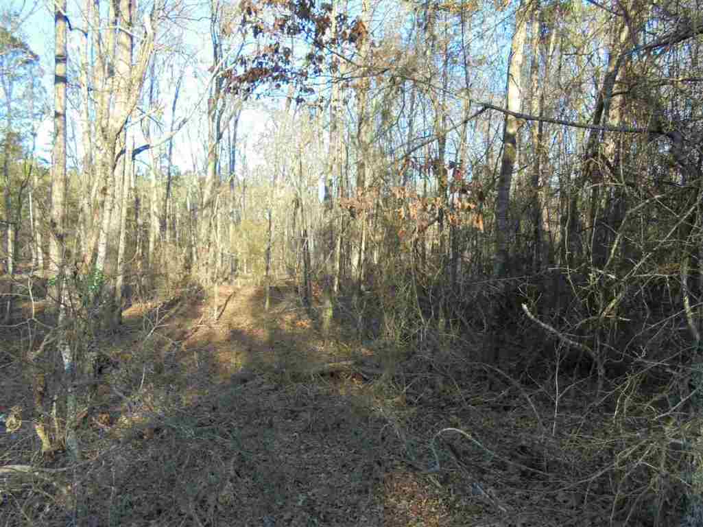 0 Hamby Road, Unit 30 67 ACRES Honea Path, SC 29654 - Photo 7 of 9