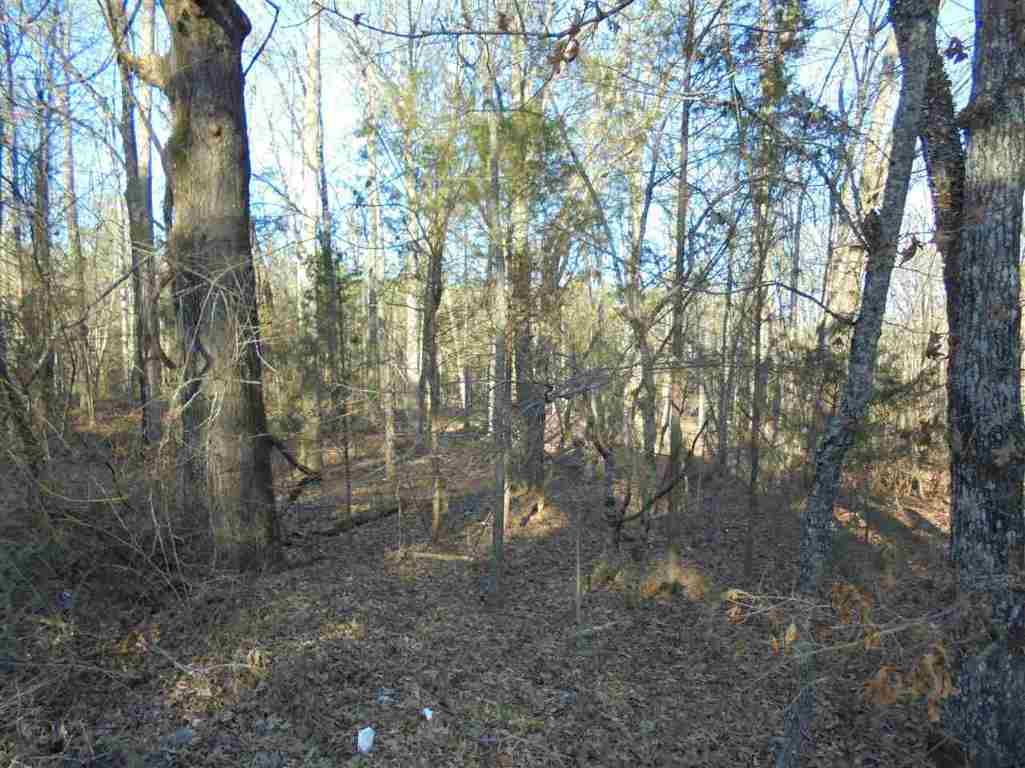 0 Hamby Road, Unit 30 67 ACRES Honea Path, SC 29654 - Photo 8 of 9