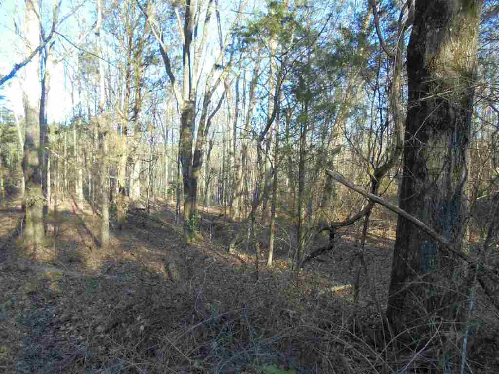 0 Hamby Road, Unit 30 67 ACRES Honea Path, SC 29654 - Photo 9 of 9