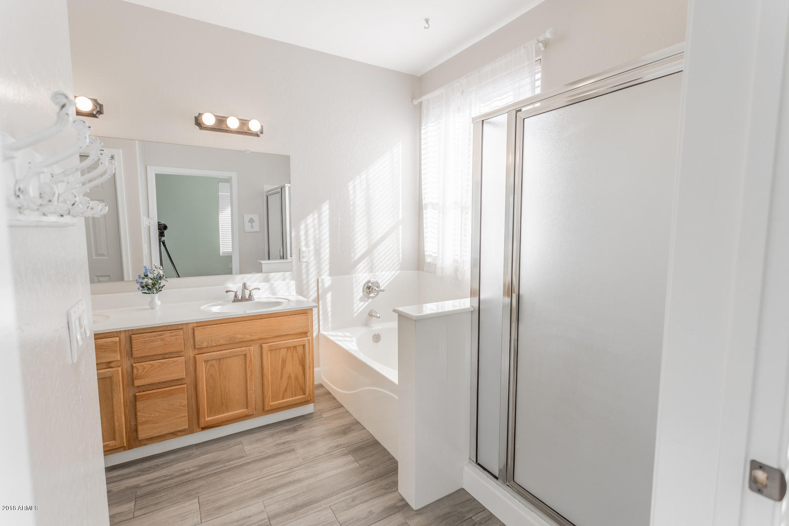 4227 South Martingale Road Gilbert, AZ 85297 - Photo 23 of 51 master bath 1