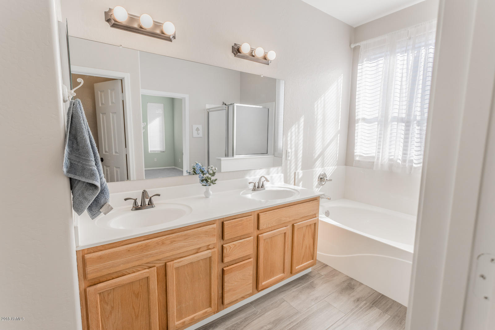 4227 South Martingale Road Gilbert, AZ 85297 - Photo 24 of 51 master bath 2