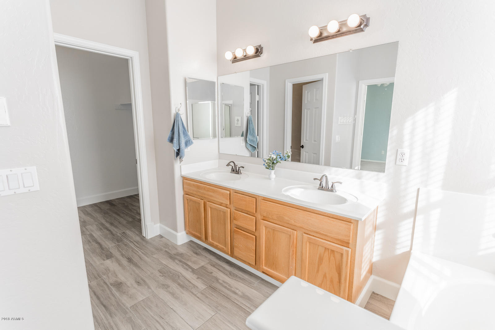4227 South Martingale Road Gilbert, AZ 85297 - Photo 26 of 51 master bath 4