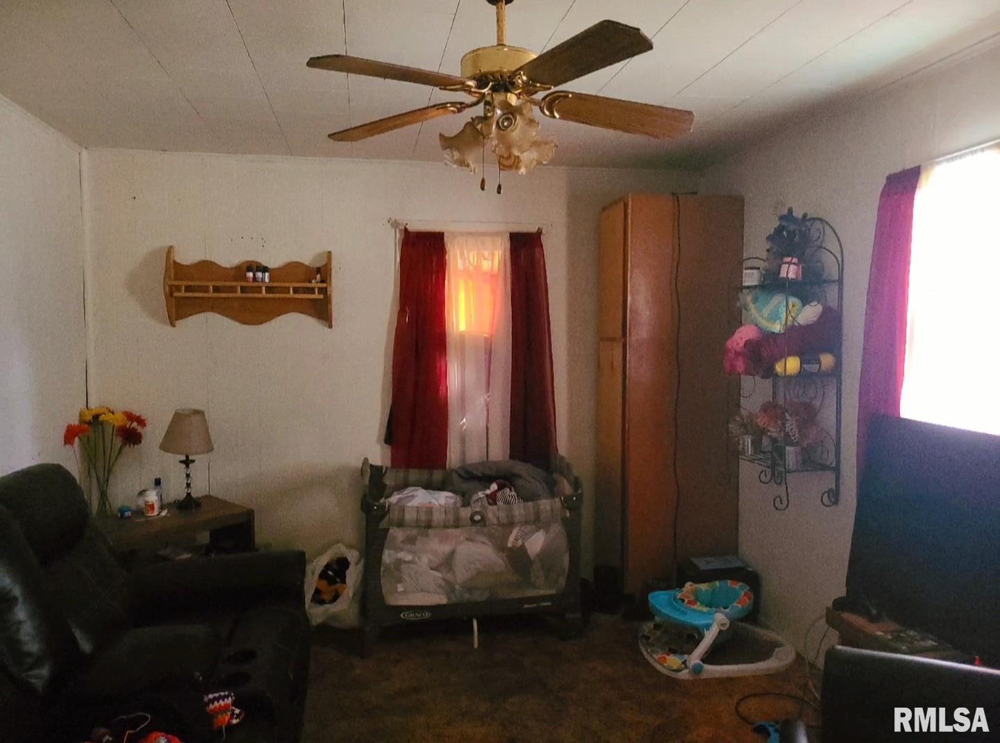 431 West Locust Street Canton, IL 61520 - Photo 3 of 10 Gallery Image 3