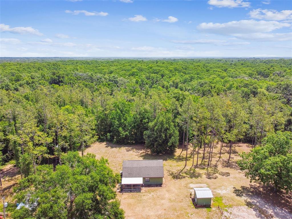 19708 Bower Road Dade City, FL 33523 - Photo 79 of 84